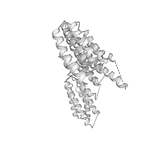 6696_5wyk_UA_v1-1
Cryo-EM structure of the 90S small subunit pre-ribosome (Mtr4-depleted, Enp1-TAP)