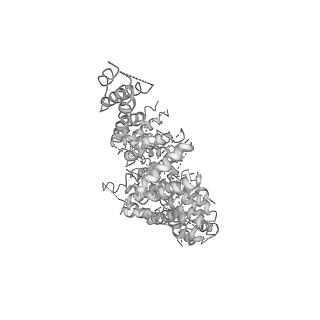 6696_5wyk_UB_v1-1
Cryo-EM structure of the 90S small subunit pre-ribosome (Mtr4-depleted, Enp1-TAP)