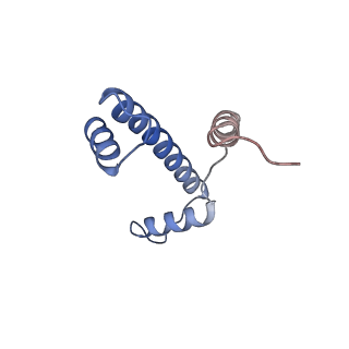 21971_6wz9_A_v1-2
Bridging of double-strand DNA break activates PARP2/HPF1 to modify chromatin