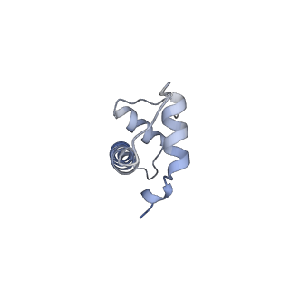 21971_6wz9_B_v1-2
Bridging of double-strand DNA break activates PARP2/HPF1 to modify chromatin