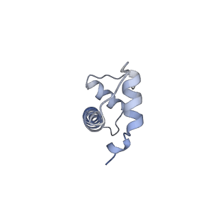 21971_6wz9_B_v1-3
Bridging of double-strand DNA break activates PARP2/HPF1 to modify chromatin