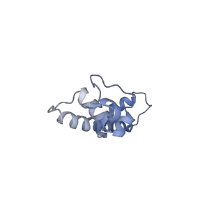 21971_6wz9_C_v1-3
Bridging of double-strand DNA break activates PARP2/HPF1 to modify chromatin