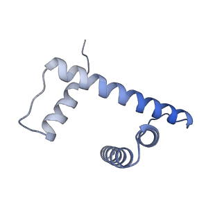 21971_6wz9_D_v1-2
Bridging of double-strand DNA break activates PARP2/HPF1 to modify chromatin