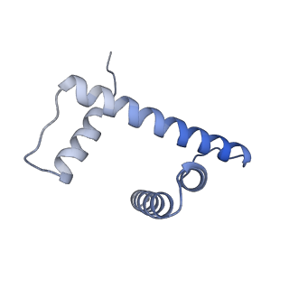 21971_6wz9_D_v1-3
Bridging of double-strand DNA break activates PARP2/HPF1 to modify chromatin