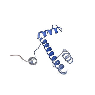 21971_6wz9_E_v1-2
Bridging of double-strand DNA break activates PARP2/HPF1 to modify chromatin