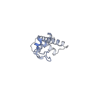 21971_6wz9_G_v1-3
Bridging of double-strand DNA break activates PARP2/HPF1 to modify chromatin