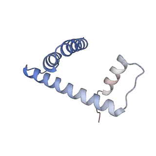 21971_6wz9_H_v1-3
Bridging of double-strand DNA break activates PARP2/HPF1 to modify chromatin