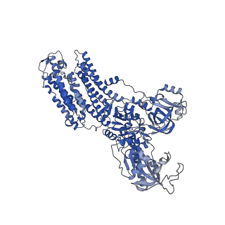 32900_7wz0_A_v1-0
Cryo-EM structure of Na+,K+-ATPase in the E2P state formed by inorganic phosphate with ouabain