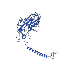 32900_7wz0_B_v1-0
Cryo-EM structure of Na+,K+-ATPase in the E2P state formed by inorganic phosphate with ouabain