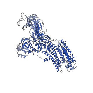 32900_7wz0_C_v1-0
Cryo-EM structure of Na+,K+-ATPase in the E2P state formed by inorganic phosphate with ouabain