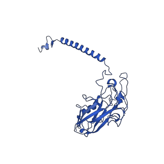 32900_7wz0_D_v1-0
Cryo-EM structure of Na+,K+-ATPase in the E2P state formed by inorganic phosphate with ouabain