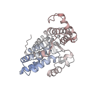 32903_7wz3_B_v1-1
Cryo-EM structure of human TRiC-tubulin-S1 state