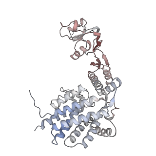 32903_7wz3_D_v1-1
Cryo-EM structure of human TRiC-tubulin-S1 state