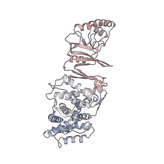 32903_7wz3_E_v1-1
Cryo-EM structure of human TRiC-tubulin-S1 state
