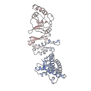 32903_7wz3_G_v1-1
Cryo-EM structure of human TRiC-tubulin-S1 state