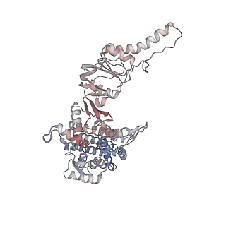 32903_7wz3_H_v1-1
Cryo-EM structure of human TRiC-tubulin-S1 state