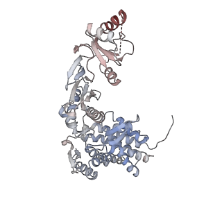 32903_7wz3_Q_v1-1
Cryo-EM structure of human TRiC-tubulin-S1 state