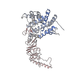 32903_7wz3_a_v1-1
Cryo-EM structure of human TRiC-tubulin-S1 state