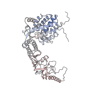 32903_7wz3_d_v1-1
Cryo-EM structure of human TRiC-tubulin-S1 state