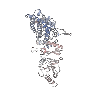32903_7wz3_g_v1-1
Cryo-EM structure of human TRiC-tubulin-S1 state