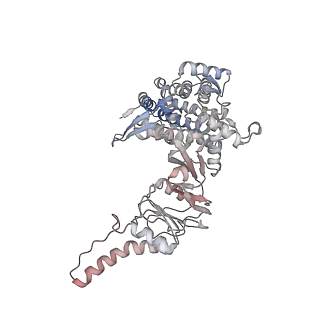 32903_7wz3_h_v1-1
Cryo-EM structure of human TRiC-tubulin-S1 state