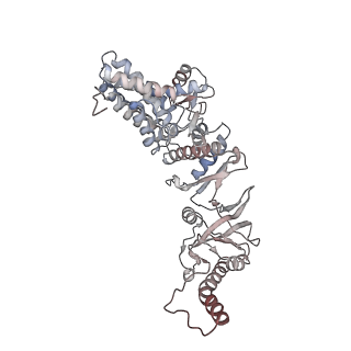 32903_7wz3_z_v1-1
Cryo-EM structure of human TRiC-tubulin-S1 state