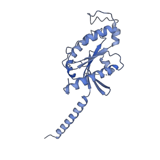 32904_7wz4_A_v1-0
Structure of an orphan GPCR-G protein signaling complex