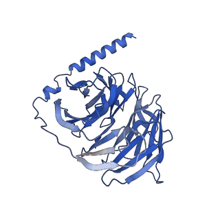 32904_7wz4_B_v1-0
Structure of an orphan GPCR-G protein signaling complex