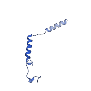 32904_7wz4_G_v1-0
Structure of an orphan GPCR-G protein signaling complex