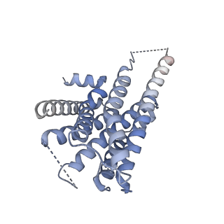 32904_7wz4_R_v1-0
Structure of an orphan GPCR-G protein signaling complex