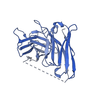 32904_7wz4_S_v1-0
Structure of an orphan GPCR-G protein signaling complex