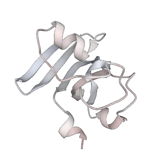 32907_7wzn_G_v1-3
PSI-LHCI from Chlamydomonas reinhardtii with bound ferredoxin