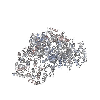 32912_7wzr_F_v1-0
Cryo-EM structure of Mec1-HU