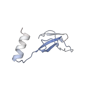 37949_8wzb_C_v1-0
RS head-neck monomer