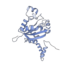 37949_8wzb_E_v1-0
RS head-neck monomer