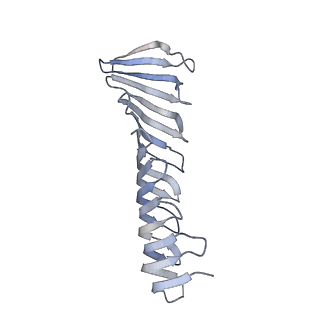 37949_8wzb_F_v1-0
RS head-neck monomer