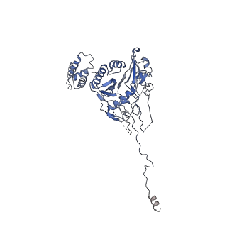 37949_8wzb_G_v1-0
RS head-neck monomer