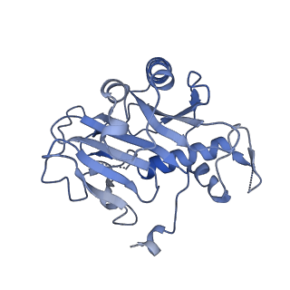 37949_8wzb_H_v1-0
RS head-neck monomer