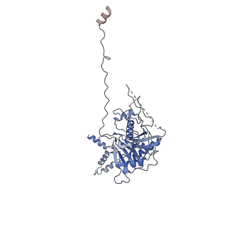 37949_8wzb_S_v1-0
RS head-neck monomer