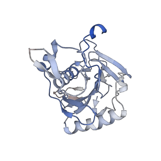 37949_8wzb_c_v1-0
RS head-neck monomer