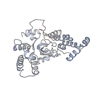 21978_6x0l_O_v1-2
Bridging of double-strand DNA break activates PARP2/HPF1 to modify chromatin