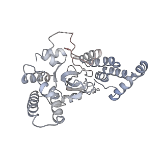 21978_6x0l_O_v1-3
Bridging of double-strand DNA break activates PARP2/HPF1 to modify chromatin