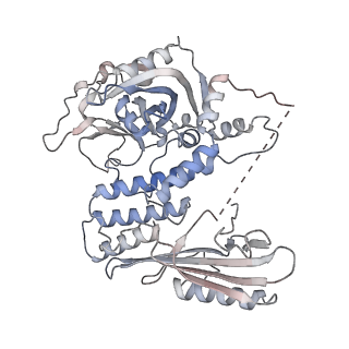 21978_6x0l_P_v1-2
Bridging of double-strand DNA break activates PARP2/HPF1 to modify chromatin
