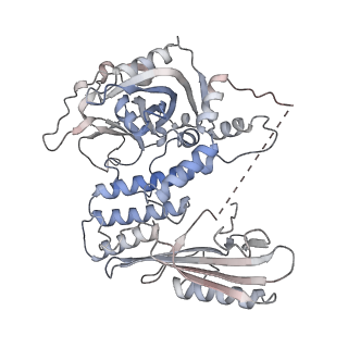 21978_6x0l_P_v1-3
Bridging of double-strand DNA break activates PARP2/HPF1 to modify chromatin