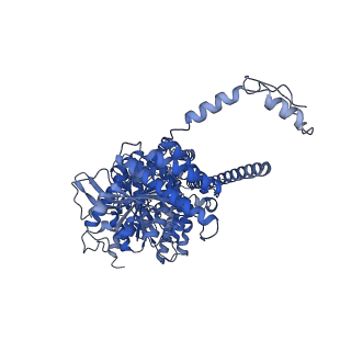 32917_7x05_B_v1-3
CryoEM structure of chitin synthase 1 from Phytophthora sojae complexed with the nascent chitooligosaccharide