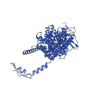 32918_7x06_A_v1-3
CryoEM structure of chitin synthase 1 from Phytophthora sojae complexed with UDP