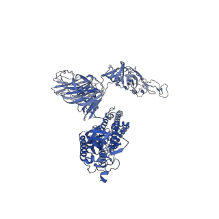 32920_7x08_A_v1-0
S protein of SARS-CoV-2 in complex with 2G1
