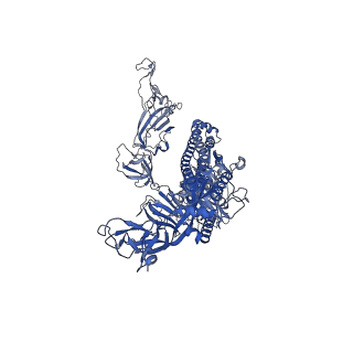 32920_7x08_C_v1-0
S protein of SARS-CoV-2 in complex with 2G1