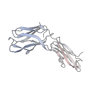 32920_7x08_H_v1-0
S protein of SARS-CoV-2 in complex with 2G1