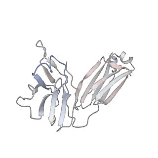 32920_7x08_L_v1-0
S protein of SARS-CoV-2 in complex with 2G1